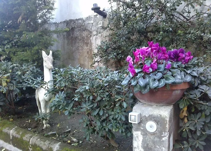 Domus Aurea 3* Neapol