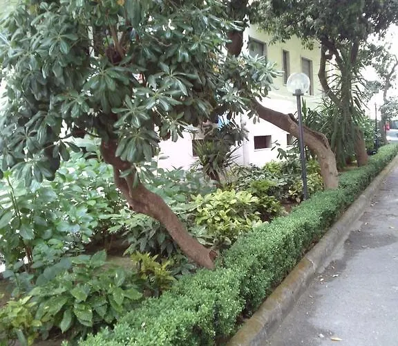 Bed & Breakfast Domus Aurea 3*