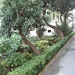 Bed and breakfast Domus Aurea 3*