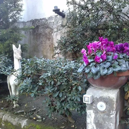 金宫住宿加早餐旅馆 3* 那不勒斯